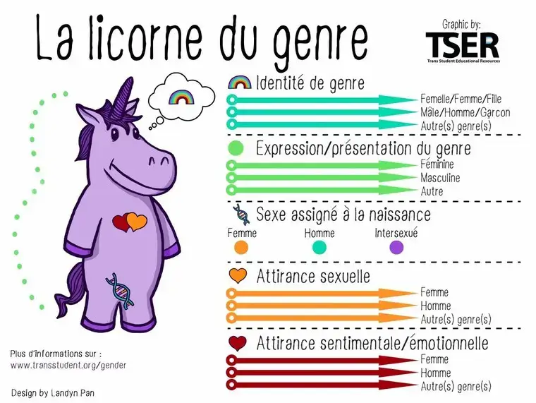 La licorne du genre qui explique qu'il y a plusieurs identités de genre et différentes expressions du genre, qui détaille les sexes assignés à la naissance, l'attirance sexuelle, l'attirance sentimentale et émotionnelle